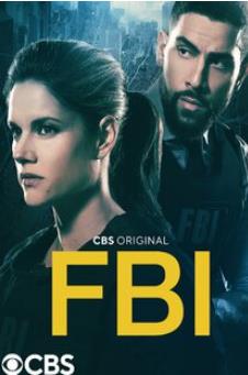 电影：联邦调查局第五季
