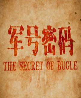 电影：军号密码